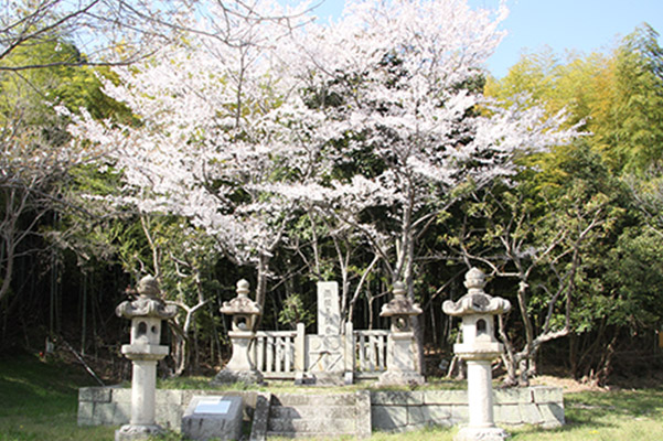 写真：源氏三代の墓