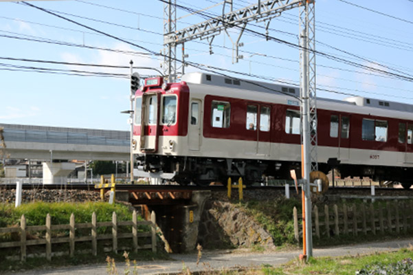 picture:Kintetsu train
