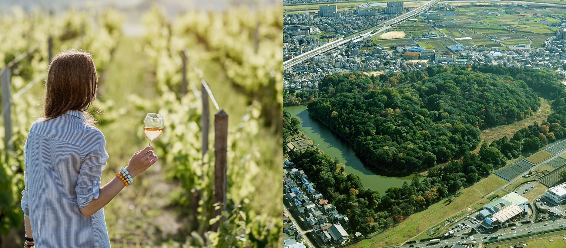 picture:Habikino City’s famous wine, ancient burial mounds