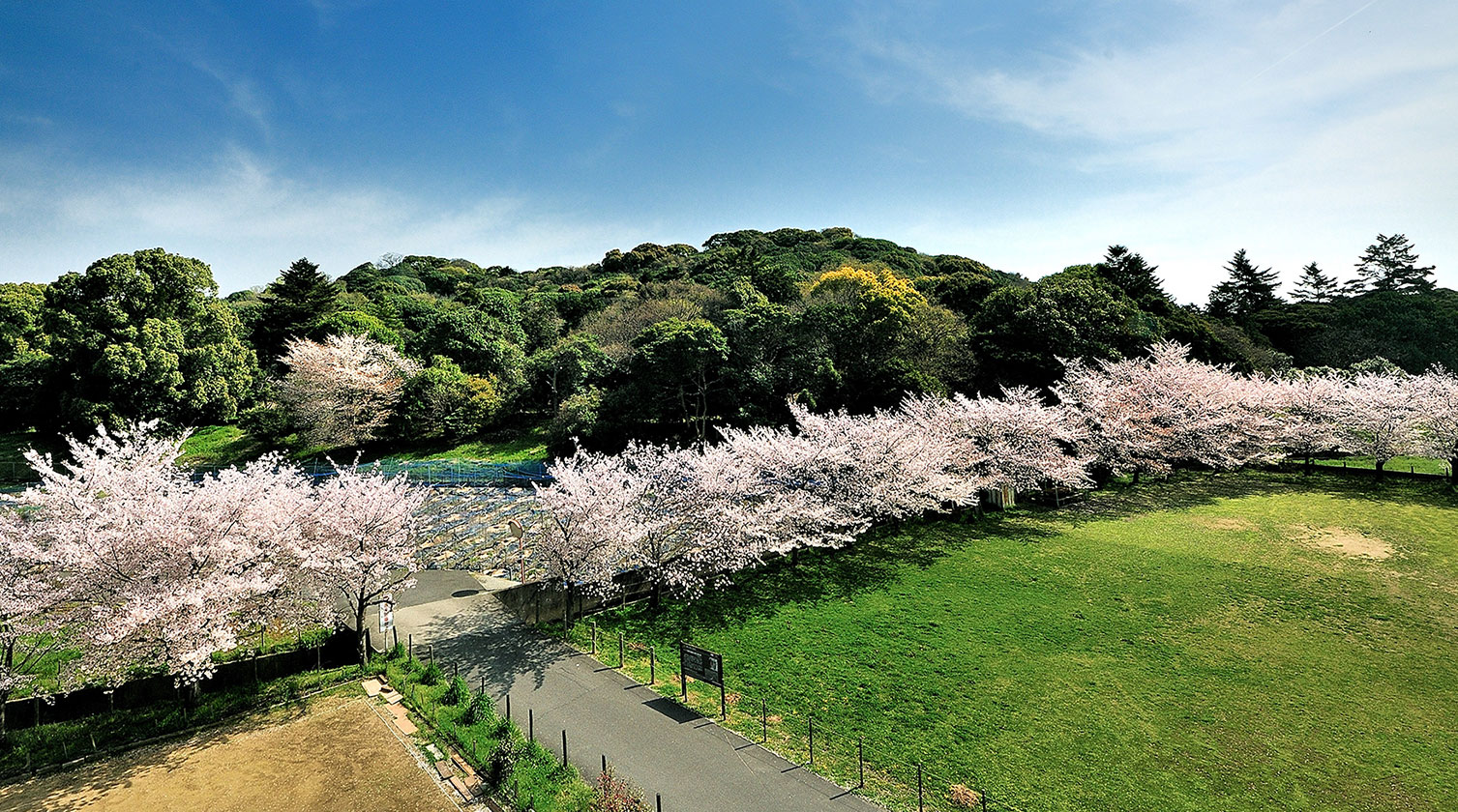 picture:kofun