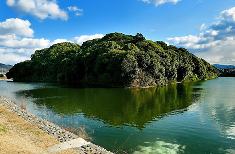 picture:The Hakucho Densetsu (Swan Legend)