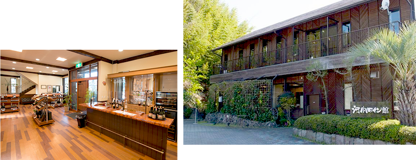 Image：Interior and exterior of Kawachi Wine Museum