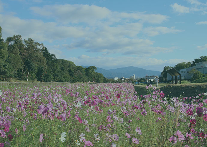 照片:觀光景點圖像